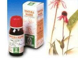 Specchiasol Echinacea 59 Estratto Idroalcolico 50ml