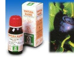 Specchiasol Mirtillo 31 Soluzione Idroalcolica 50ml