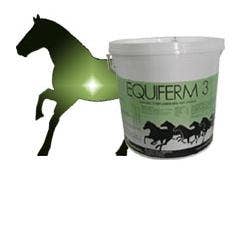 Agrolabo Equiferm 3 Mangime Complementare Per Equini 1kg