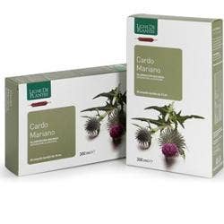 CARDO MARIANO BIO 20AMPOLLE