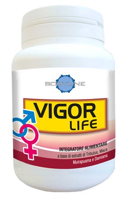Bodyline Vigor Life 40 Capsule