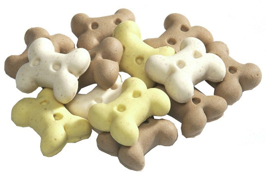 Camon Biscotti “Mini Bones” Per Cani 300g