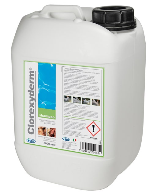 I.C.F. Clorexyderm Shampoo Disinfettante 5L Cane/Gatto