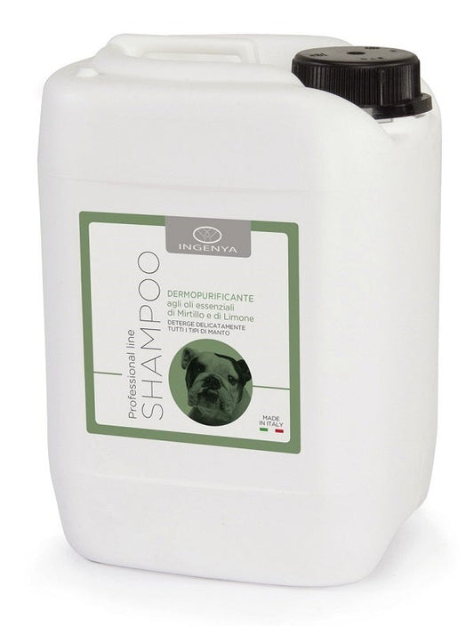 Camon Shampoo Igienizzante Dermatologico Per Cani 5 Litri