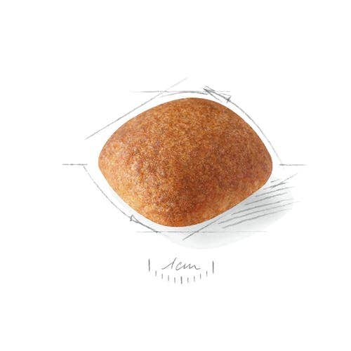 Royal Canin Crocchette Per Cani Golden Retriever Adulti Sacco 12 kg