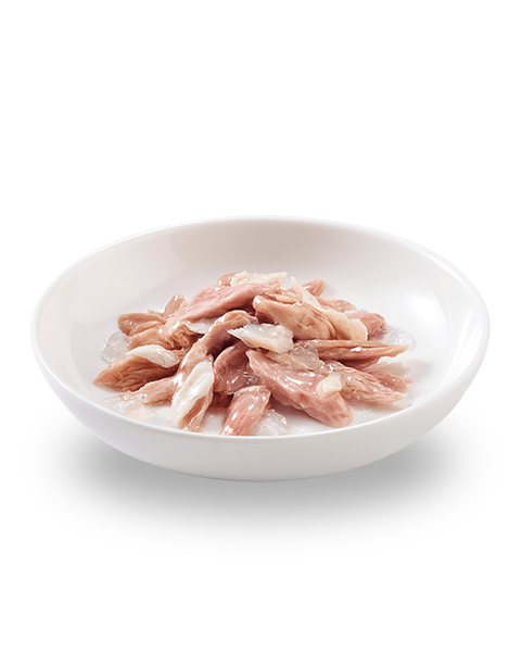 Schesir Tonnetto Con Nasello Lattina Cibo Umido Gatto Adulto 85g