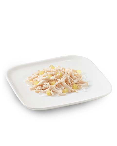 Schesir Pollo Con Ananas Cibo Umido Cani Adulti Lattina 150 g