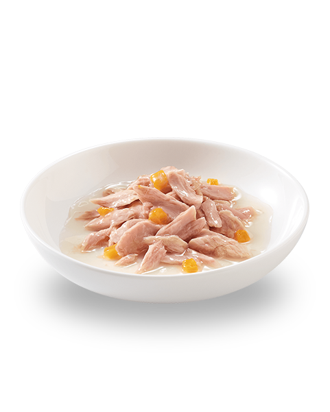 Schesir Tonnetto Con Zucca Lattina Cibo Umido Gatto Adulto 70g