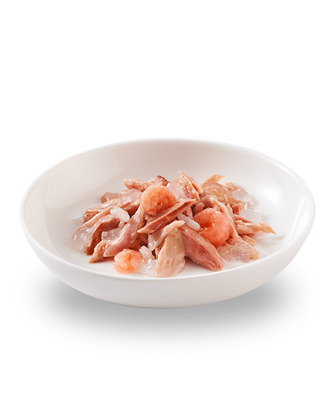 Schesir Tonnetto Con Gamberetti Lattina Cibo Umido Gatto Adulto 85 g