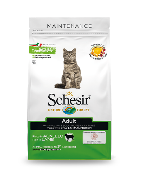 Schesir Adult Crocchette Gatti Adulti Ricco In Agnello Sacco 400 g
