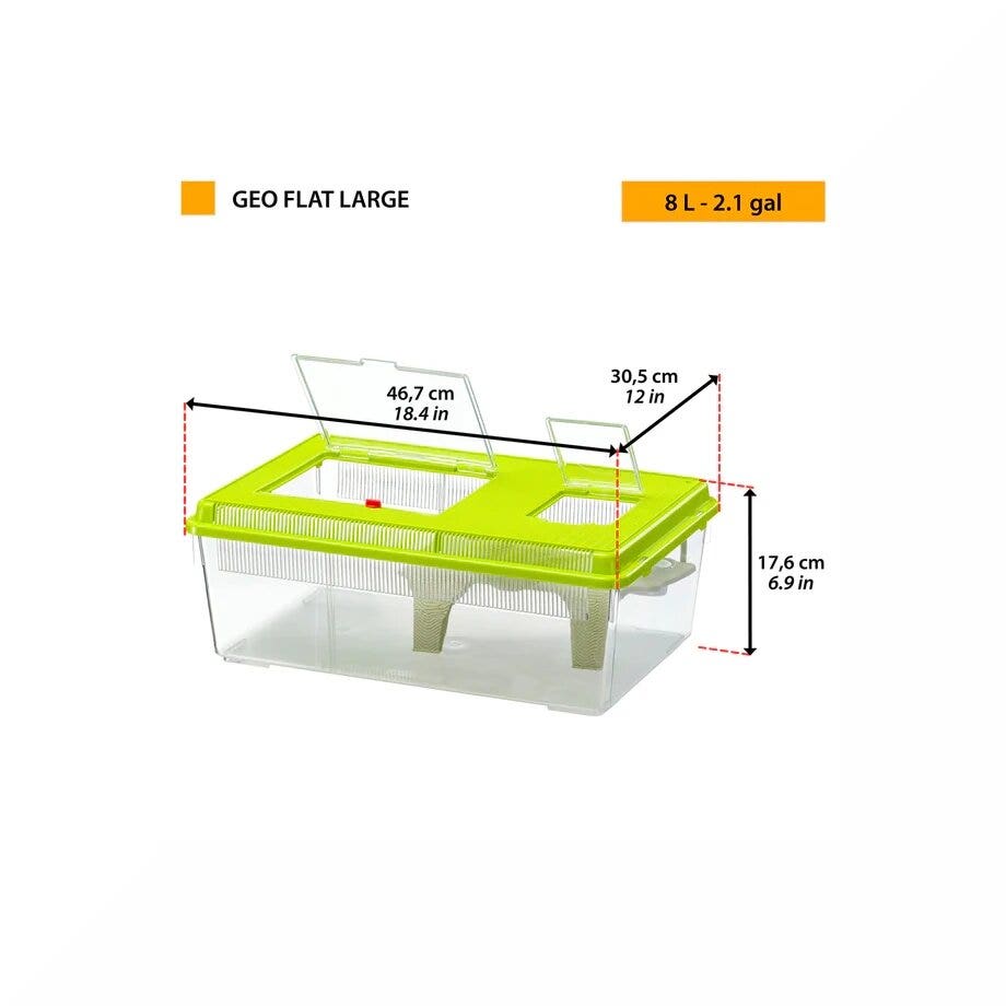 Ferplast Geo Flat Large Contenitore Piccoli Animali Pesci Tartarughe/Insetti