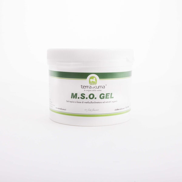 Mso Gel Per Equini 500g