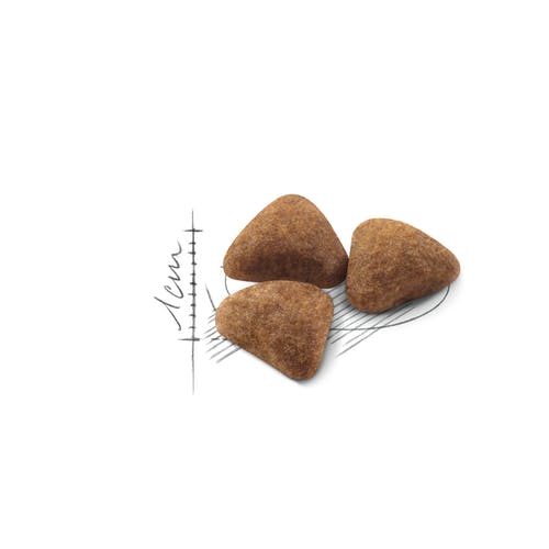 Royal Canin Feline Home Life Indoor 27 Crocchette Per Gatti Sacco 2kg