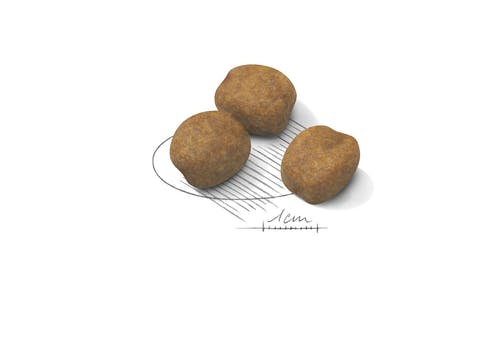 Royal Canin Giant Puppy Crocchette Per Cuccioli Taglia Gigante Sacco 15kg Fino A 8 Mesi