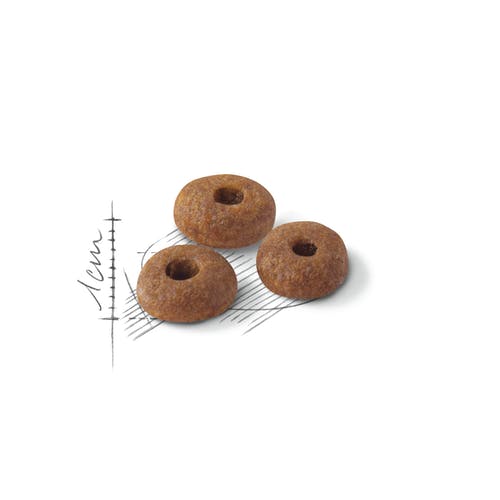 Royal Canin Fit 32 Crocchette Per Gatti Adulti 400g