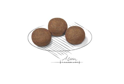 Royal Canin Crocchette Per Cuccioli Taglia Media Sacco 1kg