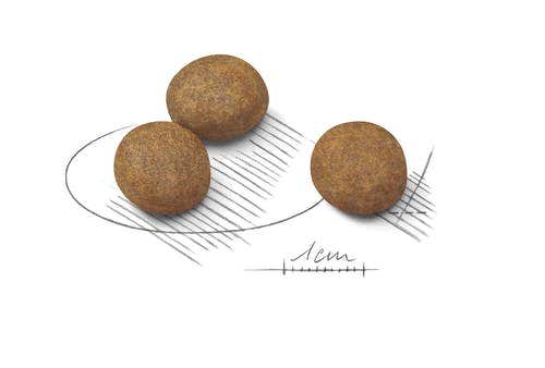 Royal Canin Puppy Crocchette Per Cuccioli Cani Taglia Grande Sacco 4kg