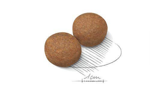 Royal Canin Crocchette Per Cani Adulti Taglia Grande Sacco 15kg