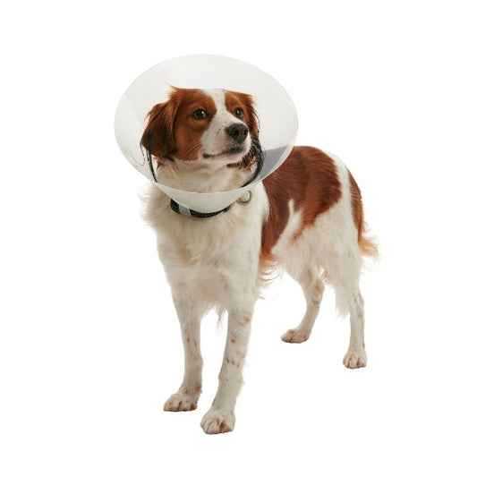 Kruuse Collare Clic Trasparente 20cm