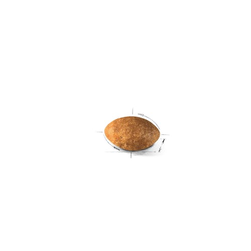 Royal Canin Feline Persian Adult Crocchette Per Gatti Sacco 400g