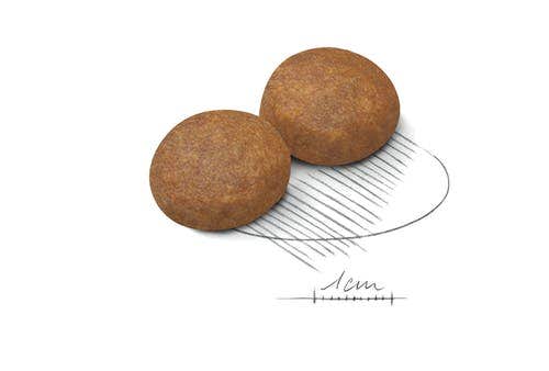Royal Canin Crocchette Per Cani Adulti 5Anni+ Taglia Grande Sacco 15kg