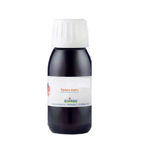 Arnica Montana Tintura Madre 60ml
