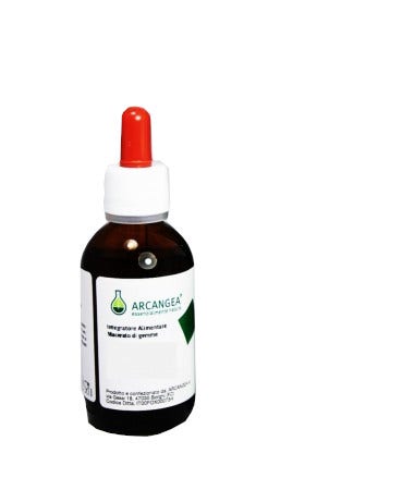 Ficus Carica Gd 100ml