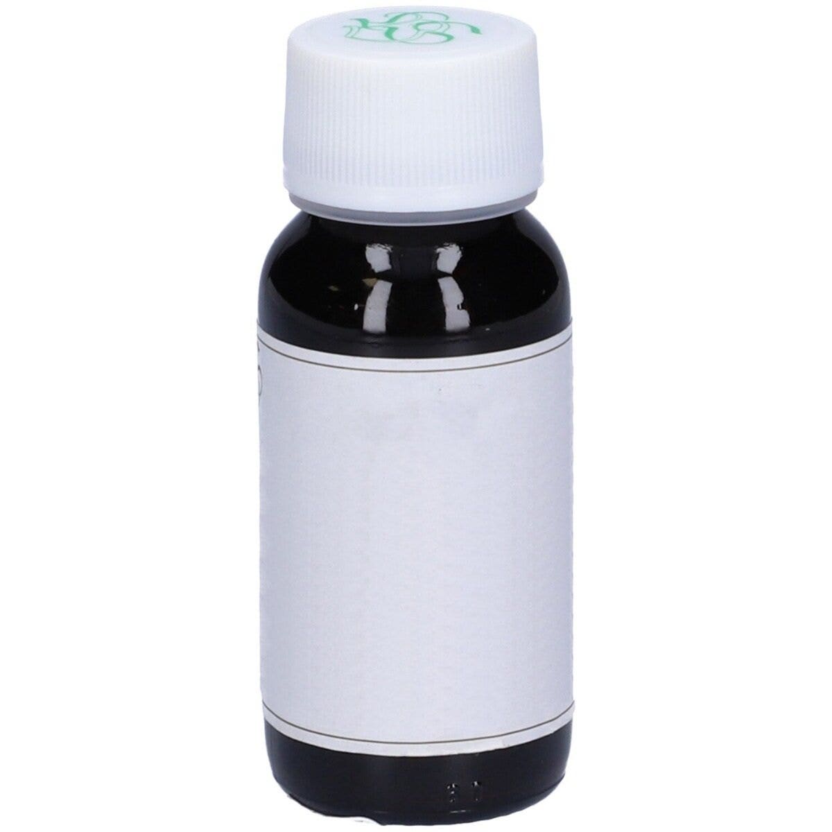 LVS 55S Curcuma Zedoaria Compositum 60ml