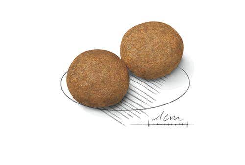 Royal Canin Crocchette Per Cani Adulti Taglia Media Sacco 4kg