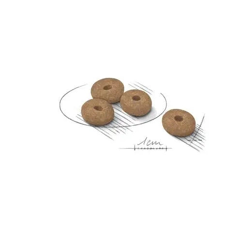 Royal Canin Light Weight Care Crocchette Per Cani Taglia Mini Sacco 8kg