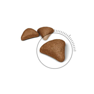 Royal Canin Feline Hairball Care Crocchette Per Gatti Sacco 2kg