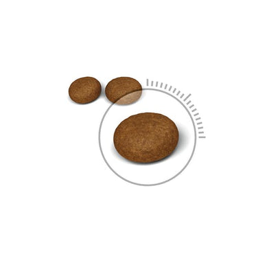 Royal Canin Feline Hair And Skin Care Crocchette Per Gatti Sacco 400g