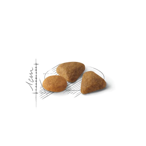 Royal Canin Feline Preference Savour Exigent Crocchette Per Gatti Sacco 400g