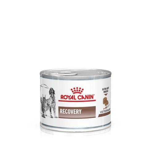 Royal Canin Veterinary Diet Recovery Umido Per Cani/Gatti Lattina 195g