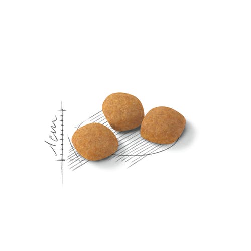 Royal Canin Feline Preference Protein Exigent Crocchette Per Gatti Sacco 400g