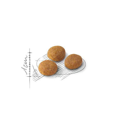 Royal Canin Feline Preference Aroma Exigent Crocchette Per Gatti Sacco 2kg