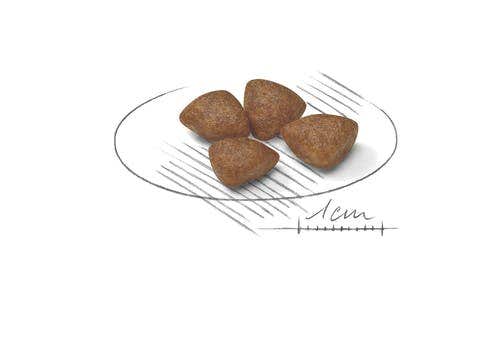 Royal Canin Starter Mother&Babydog Crocchette Per Cagne E Cuccioli Taglia Piccola Sacco 1kg