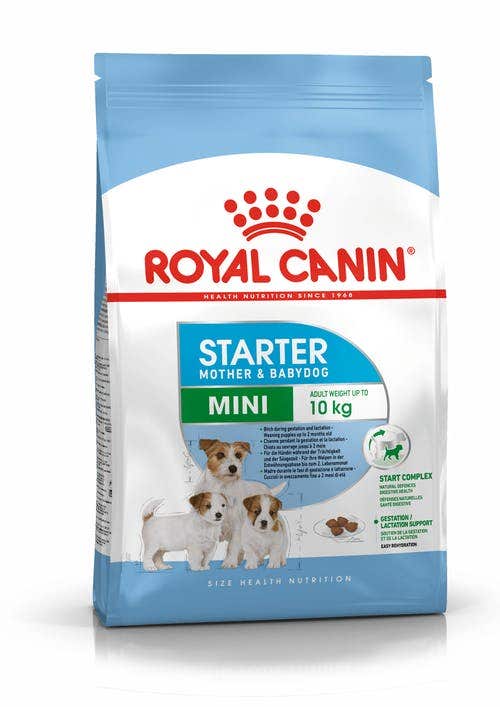 Royal Canin Starter Mother&Babydog Crocchette Per Cagne E Cuccioli Taglia Piccola Sacco 1kg