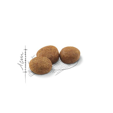 Royal Canin Feline Regular Sterilised 37 Crocchette Per Gatti Sacco 4kg