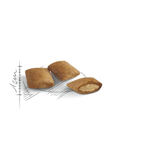 Royal Canin Feline Ageing 12+ Anni Crocchette Per Gatti Senior Sacco 2kg