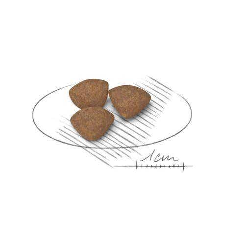 Royal Canin Crocchette Per Cuccioli Taglia Mini Sacco 4kg