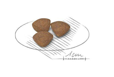 Royal Canin Crocchette Per Cuccioli Taglia Mini Sacco 4kg
