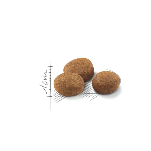 Royal Canin Feline Sterilised 7+ Crocchette Per Gatti Sterilizzati 7Anni+ Sacco 400g