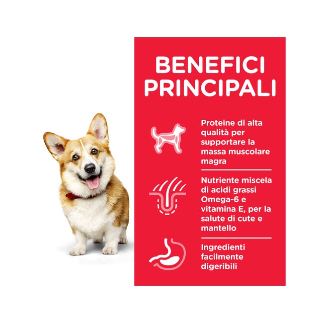 Hill's Science Plan Adult Small E Mini Fino A 10 Kg Per Cani Crocchette Pollo Sacco 300g