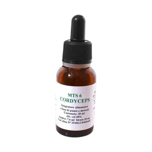 Alkaest MTS 6 Cordyceps Gocce 20ml