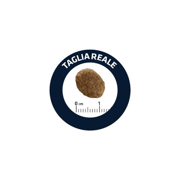 Advance Veterinary Diets Urinary Crocchette Per Gatti Sacco 1,5kg