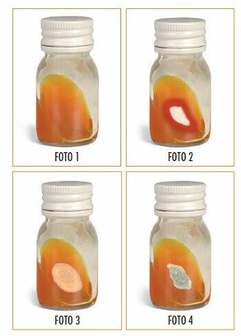 Teknofarma Dtm Dermatophite Test Medium Scatola Da 24 Pezzi