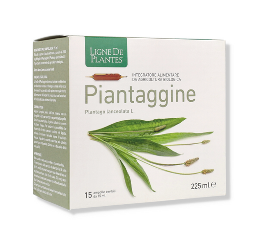 Piantaggine 15ampolle