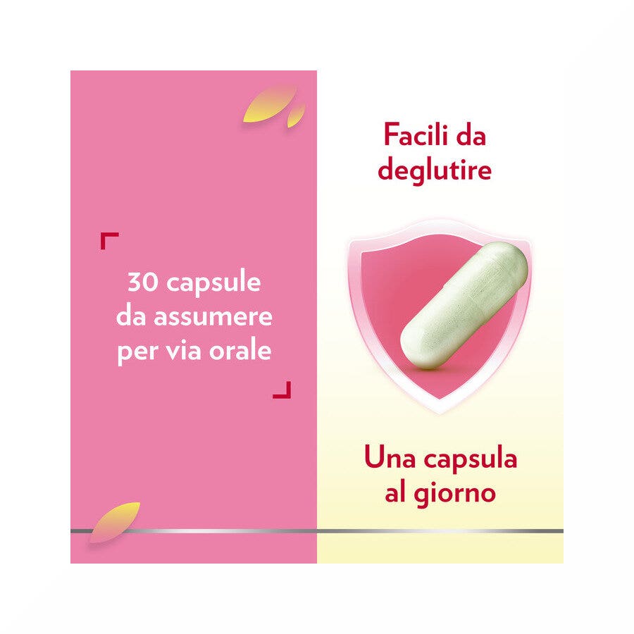 Gyno Canesflora probiotico con vitamina B2 per benessere Intimo e Flora Vaginale Equilibrata 30 cps