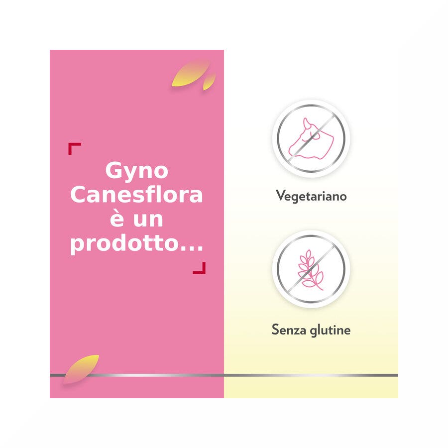 Gyno Canesflora probiotico con vitamina B2 per benessere Intimo e Flora Vaginale Equilibrata 30 cps